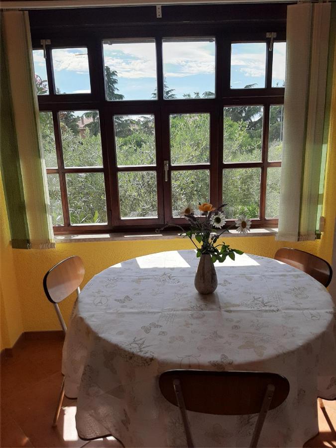 Apartmán Clara 2